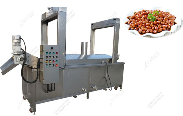 Continuous Frying Machine